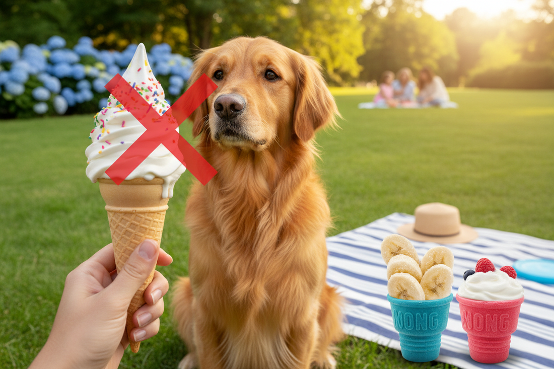 Can Dogs Eat Ice Cream? No — Most Ice Cream Is Not Safe for Dogs