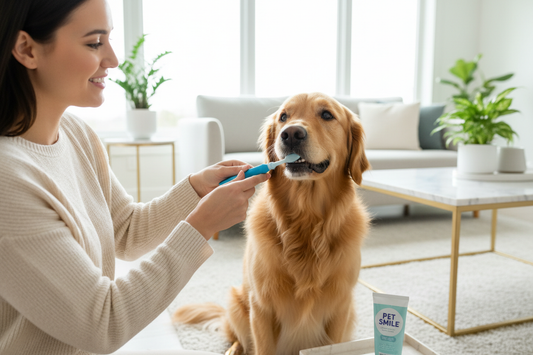 How to Clean Dog Teeth at Home
