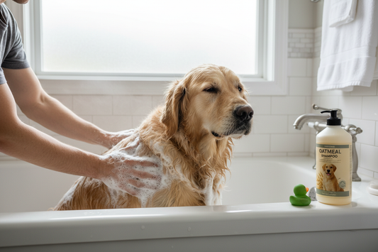 Best Dog Shampoo for Itchy Skin: Top Picks That Actually Work
