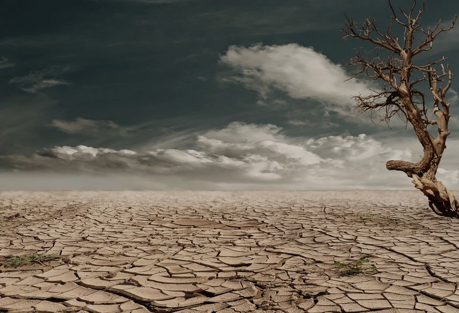 Why Heat Changes How Carpet Fibers Release Soil and Stains