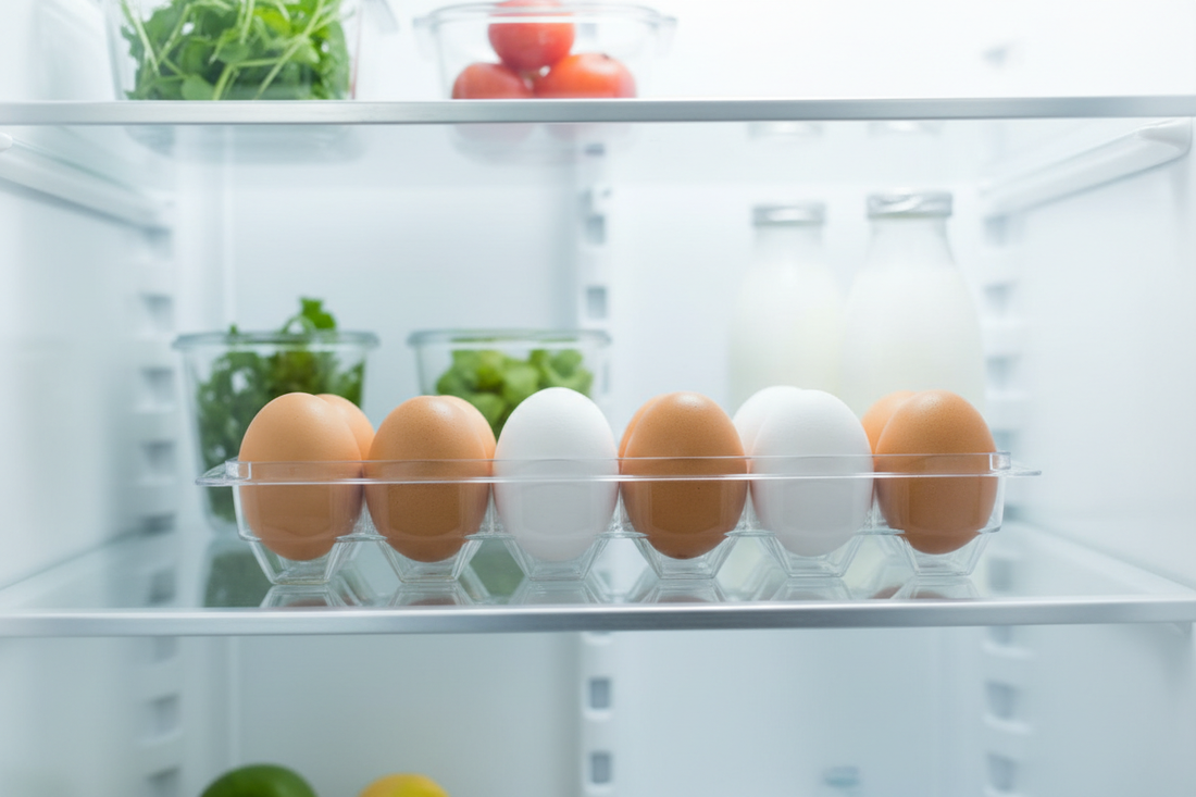 Best Egg Holder for Refrigerator