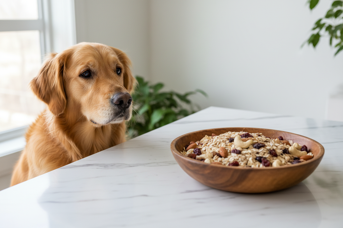 Can Dogs Eat Granola