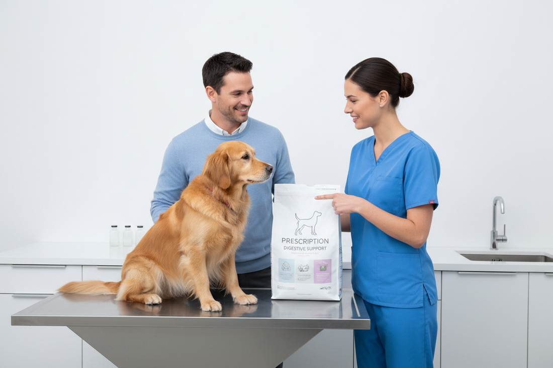 How to Choose Dog Food for a Dog with Kidney Disease