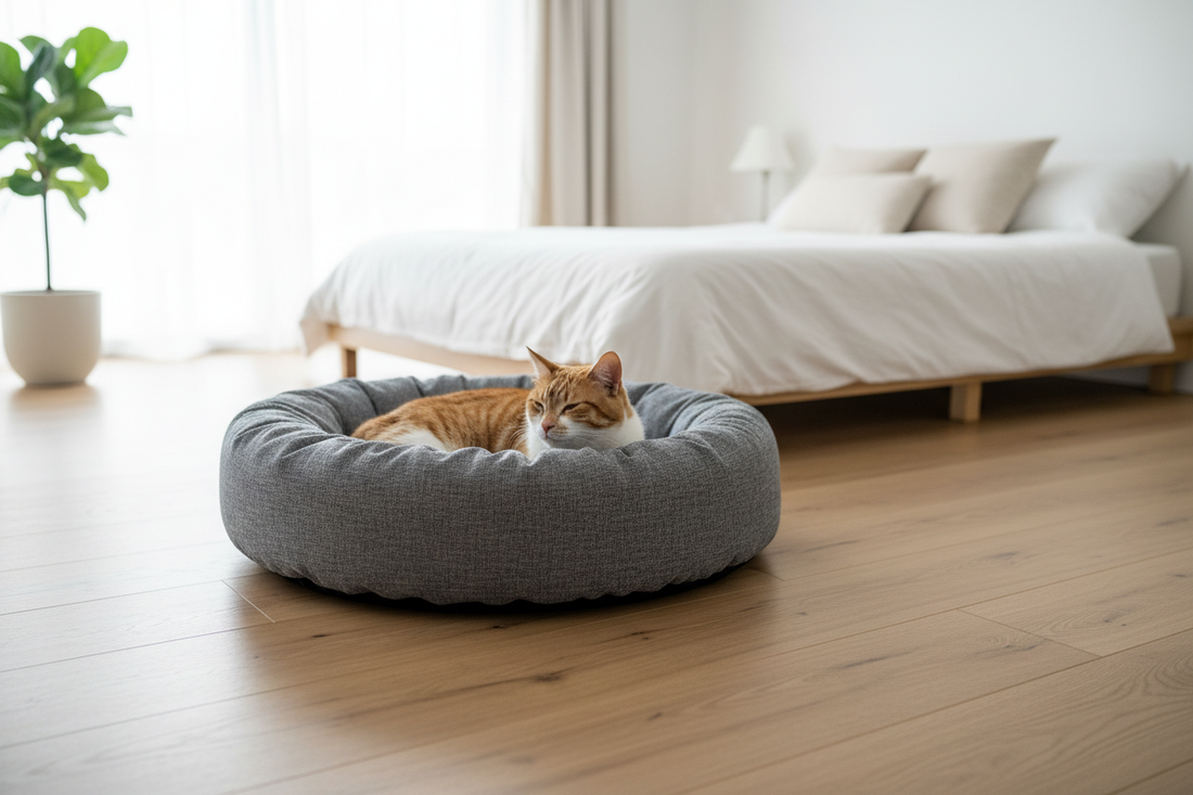 How to Wash Cat Bed