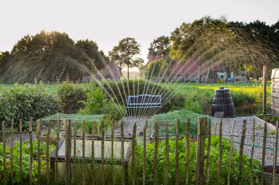Rain Barrels, Greywater, or Just Less Lawn: What Actually Lowers Garden Irrigation Impact
