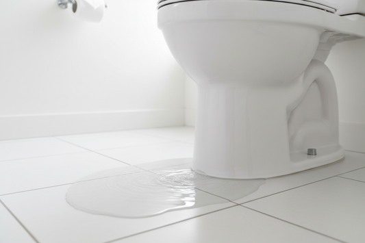 How to Fix a Leaking Toilet