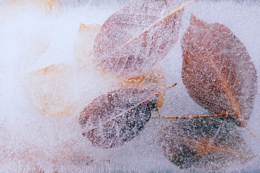 7 Common Refrigerator Water Filter Replacement Mistakes That Ruin Ice and Water Quality