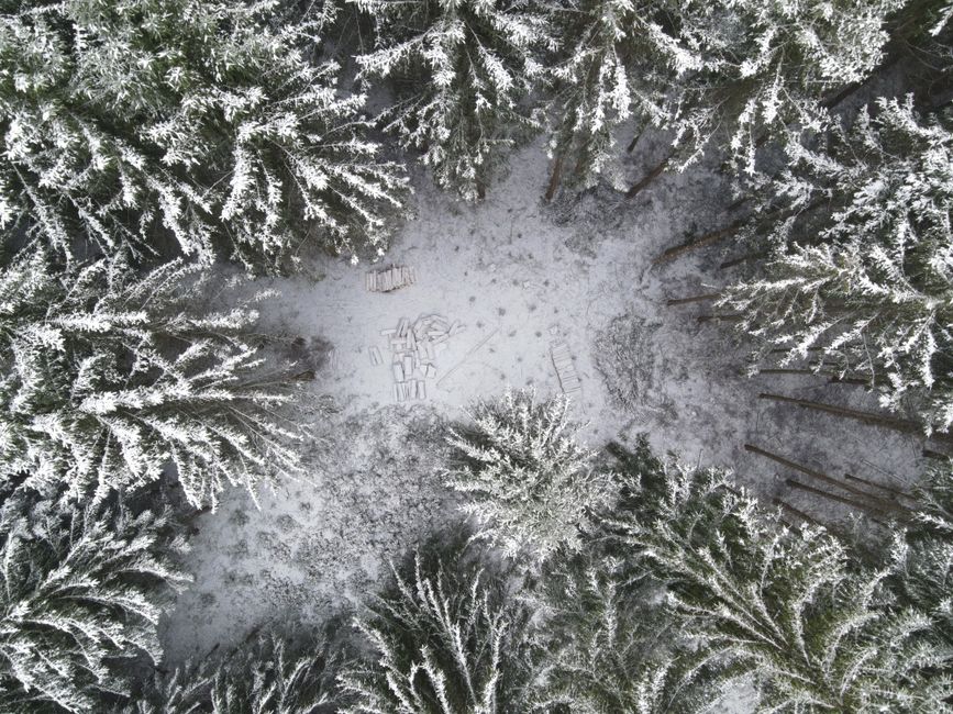 Reading Wood Movement: What Normal Seasonal Expansion Looks Like