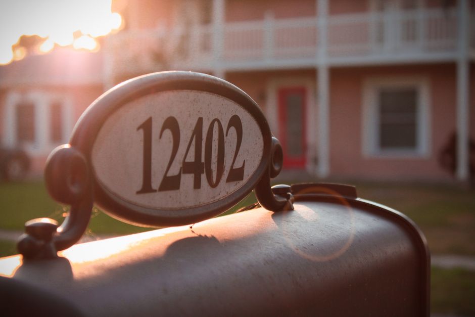 Moving With a Pet: Why the House Changes More Than the Address
