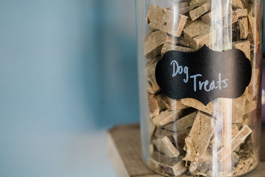 Natural Remedies for Pet Food Storage: Keep Kibble Fresh and Pests Away