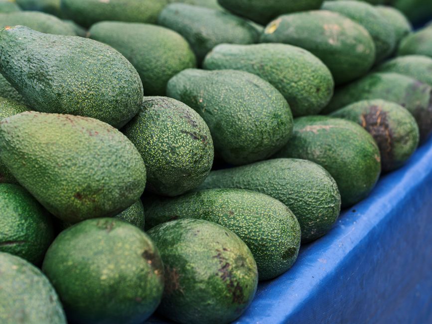 How to Keep Avocados Fresh for Weeks: Science-Backed Storage Methods