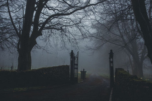 The Weekend Warrior’s Guide to Fixing a Sagging Gate Without Replacing It