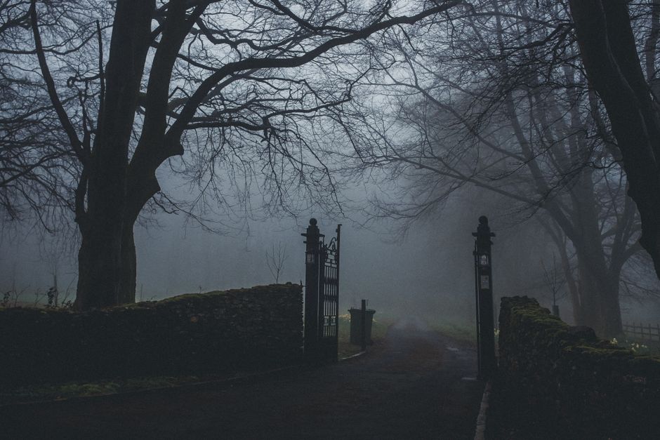 Fence and Gate Repair Survival Guide for Renters