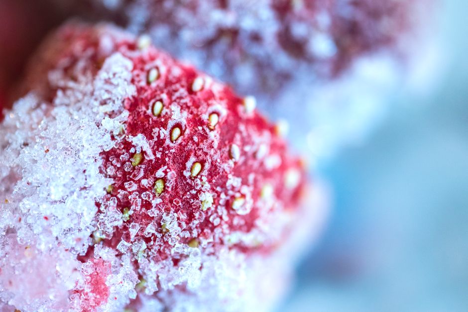 How Ice Crystals Rewrite the Texture of Frozen Food