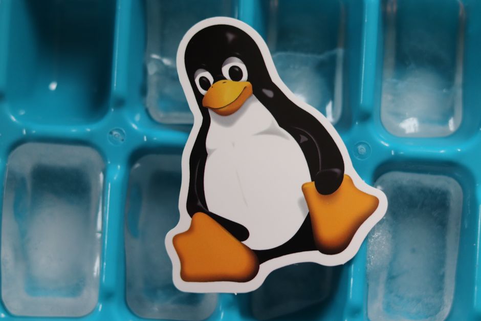 Why Your Freezer Isn't Freezing Properly: Performance and Organization Guide
