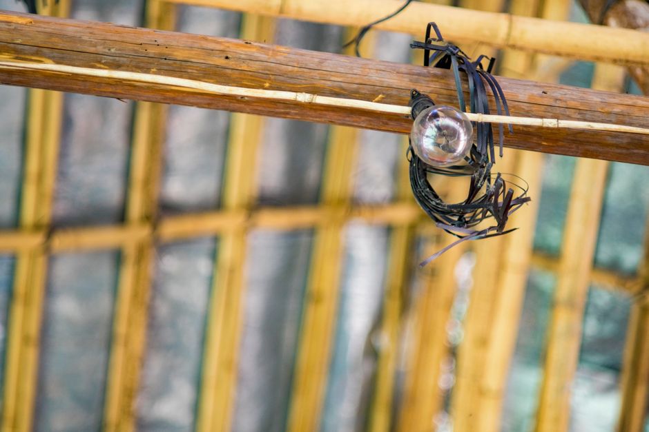 The Bamboo Product Trap: What to Buy, What to Skip, and What Actually Matters