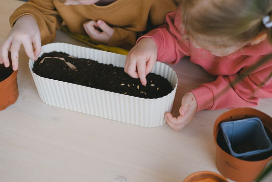 Succulent Care for Kids: A Fun Practical Guide to Growing Hardy Plants Together