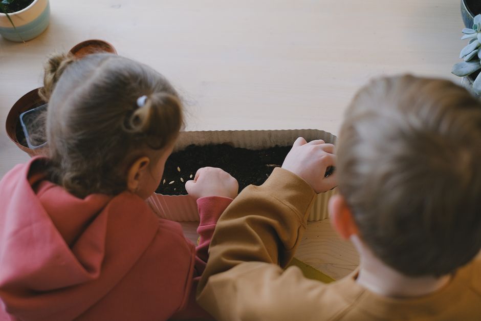 Starting Seeds with Kids: A Simple, Messy, Joyful Guide