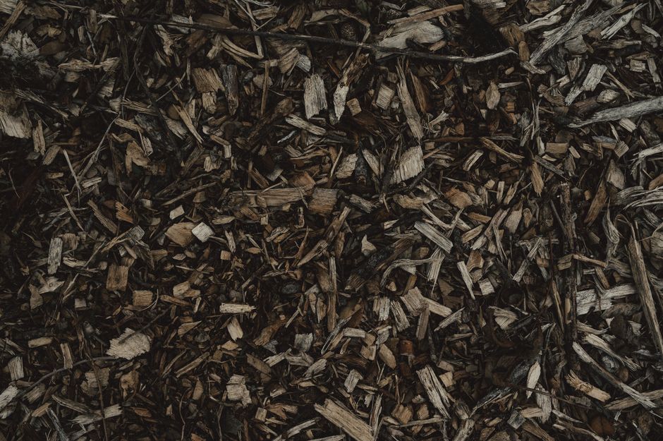 5 Mulching Tips and Tricks That Save Your Plants Without Spending a Dime