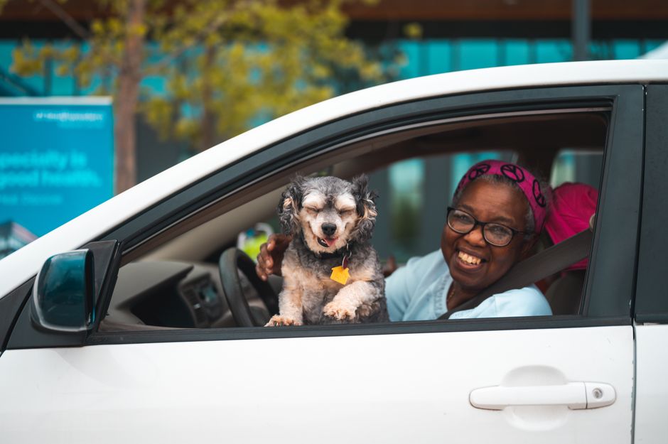 Vet-Approved Tips for Traveling with a Senior Pet