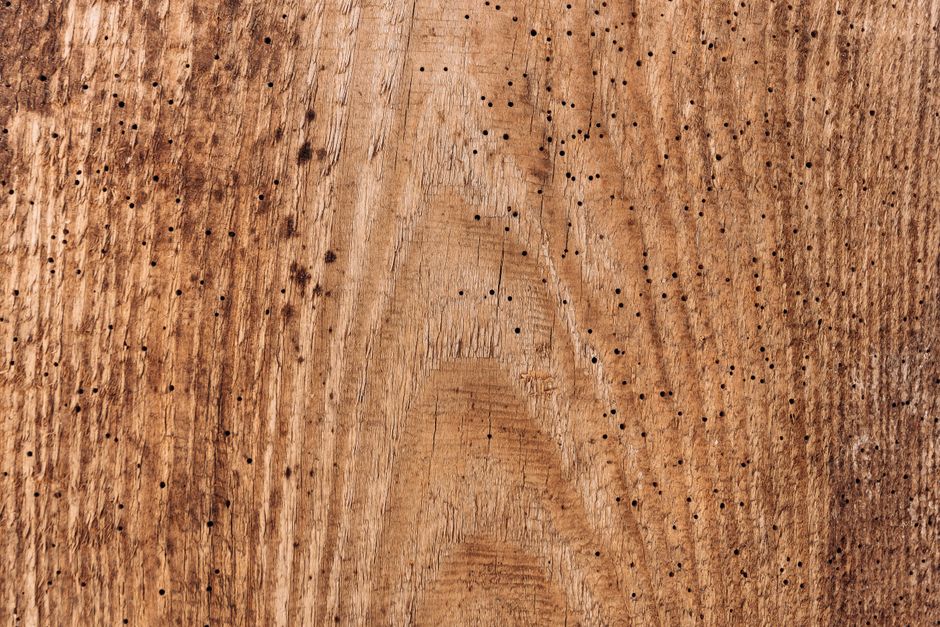 Renter-Friendly Wall Repairs: How to Patch Holes Without Losing Your Deposit