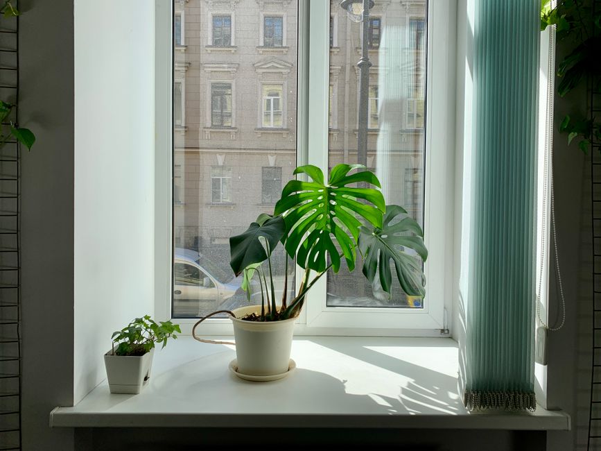 How to Fix a Smelly Air Purifier Without Replacing the Filter
