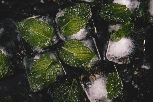 Fresh Herbs in the Freezer: Why Ice Crystals Change Flavor, Texture, and What You Can Still Cook