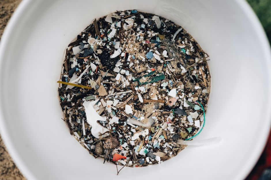 Cat Litter and Household Waste: Clumping Clay vs. Plant-Based Options