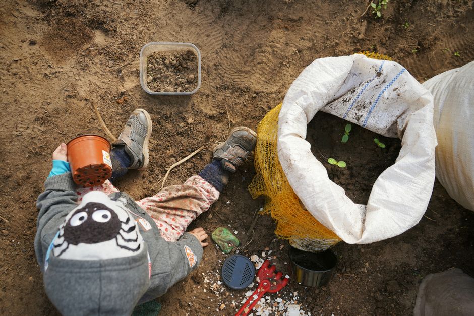 Planting Flower Bulbs with Kids: A Fun, Hands-On Gardening Adventure