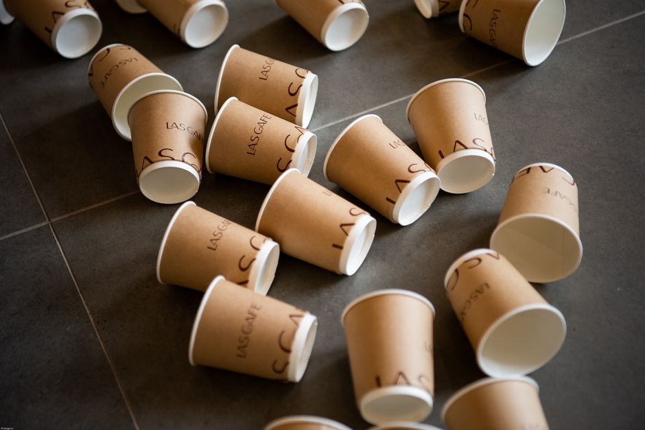 Bamboo Disposables vs. Reusables: When Does the Swap Actually Reduce Impact?