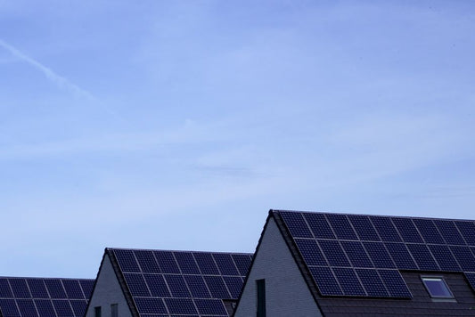 Household Carbon Footprints on a Budget: Which Changes Actually Matter?