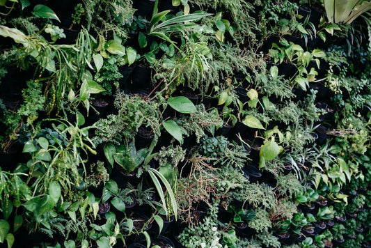 Seasonal Vertical Garden Care: A Month-by-Month Guide to Keeping Your Living Wall Thriving