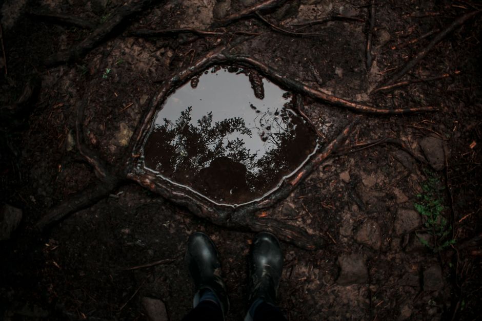 Rainwater and the Root Zone: Why Collected Rain Changes How You Read Wet and Dry Soil