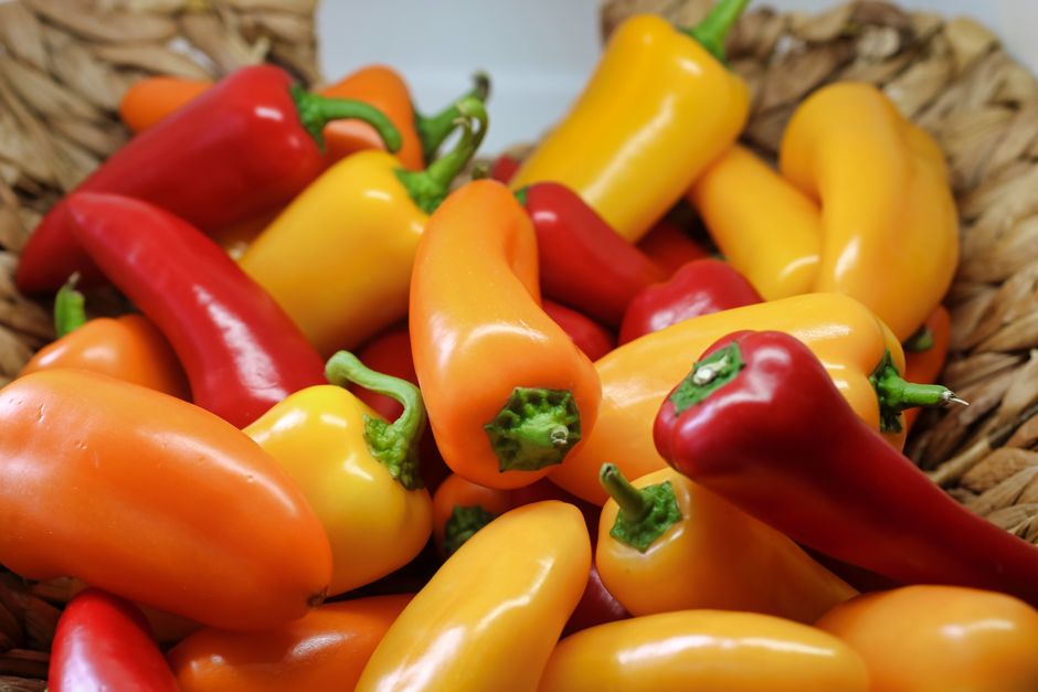 Lazy Gardener's Guide to Low Maintenance Pepper Growing
