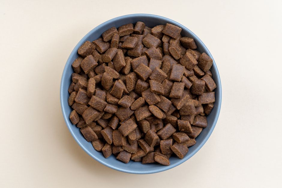 What Pet Food Labels Actually Tell You About Guaranteed Analysis and Ingredients