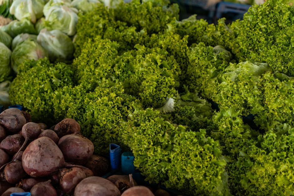 Stop Throwing Away Produce: How to Keep Vegetables Crisp and Fresh for Weeks