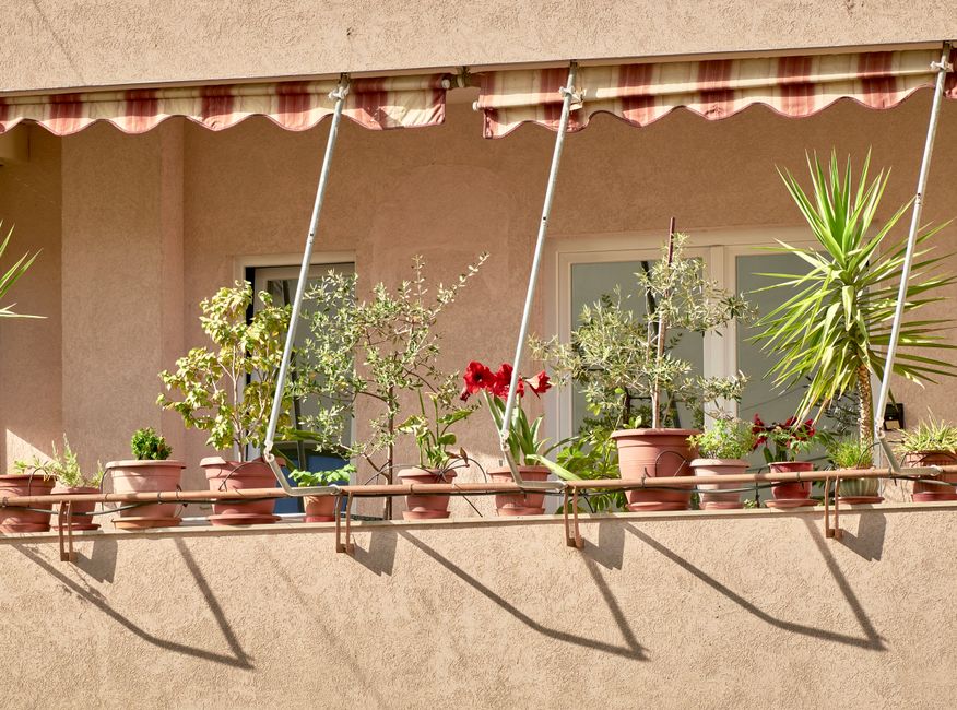 Why Your Apartment Balcony Garden Planters Keep Killing Plants and How to Fix It