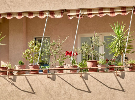 Why Your Apartment Balcony Garden Planters Keep Killing Plants and How to Fix It