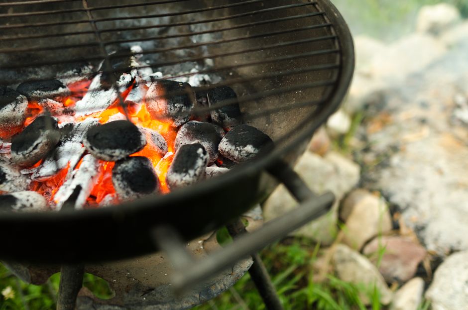 Why Electric Grill Smoke Isn't a Sign of Burning Food