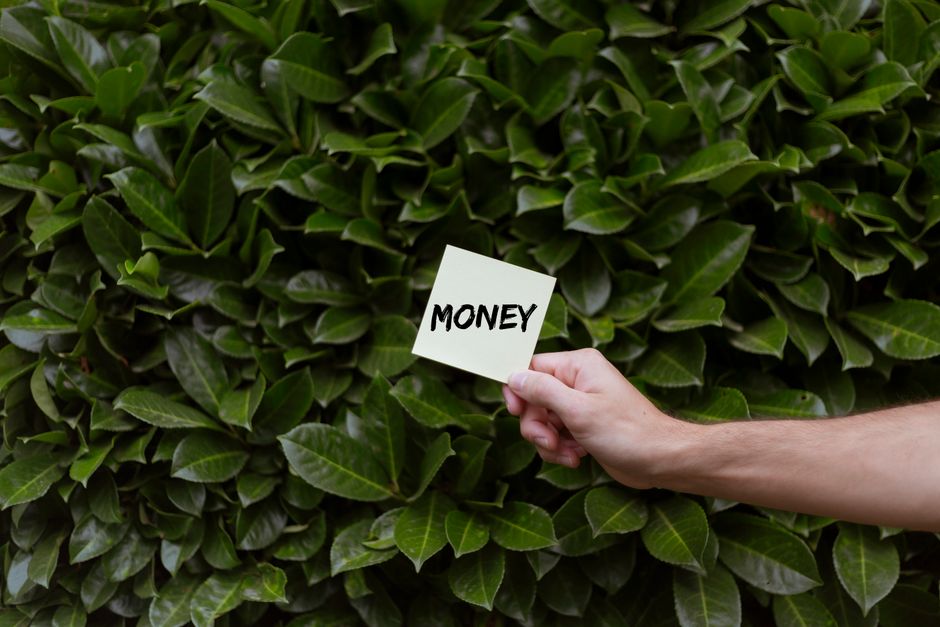 How to Save Money with Eco-Friendly Paper Products: A Practical Guide