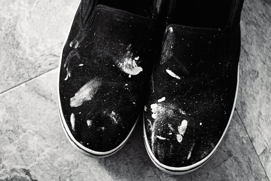 Professional Pet Stain Removal: What Actually Works on Tried-and-Tested Messes