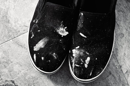 Professional Pet Stain Removal: What Actually Works on Tried-and-Tested Messes