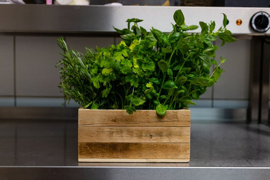 How to Keep Fresh Herbs Alive Twice as Long: The Ultimate Guide to Storage, Reviving, and Using Parsley, Cilantro, and Mint