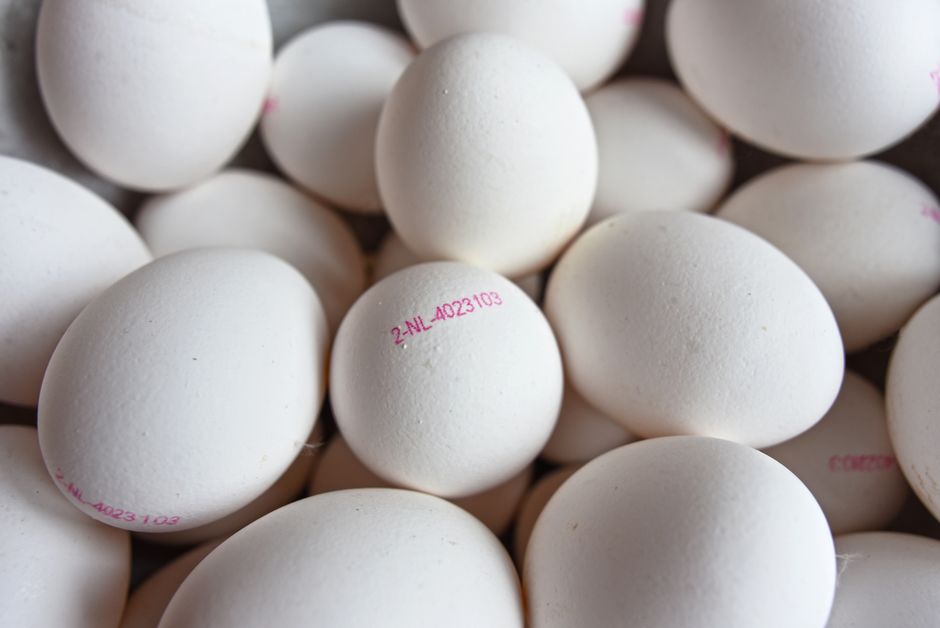 Why Protein Stains Set: The Chemistry That Makes Egg, Blood, and Dairy Residues Hard to Remove