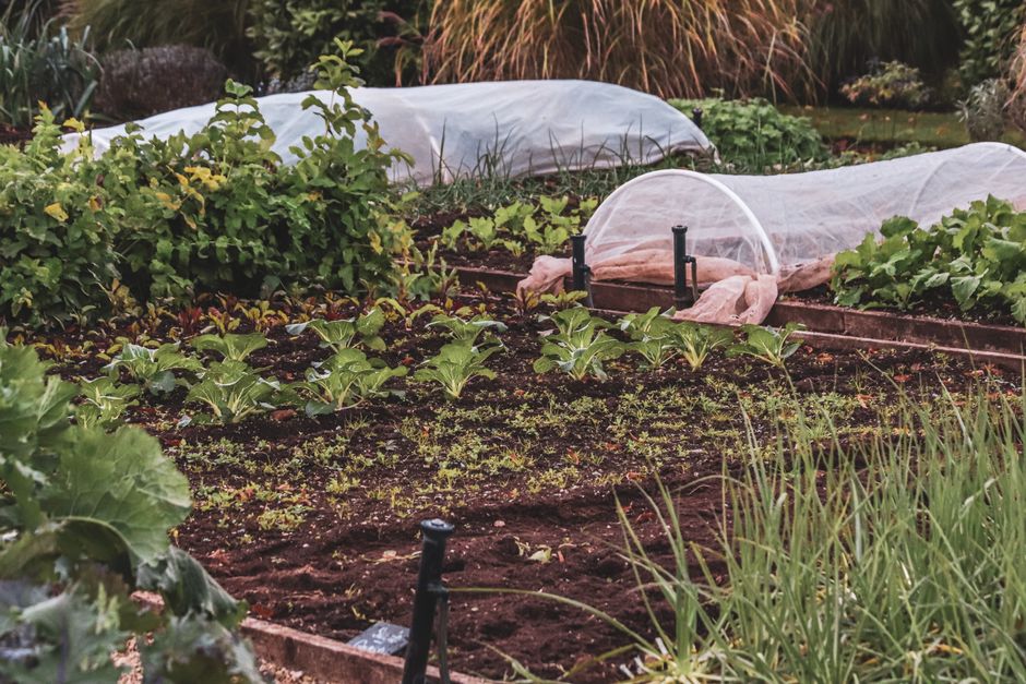 The Seasonal Raised Bed Gardening Calendar: A Complete Guide to Year-Round Success