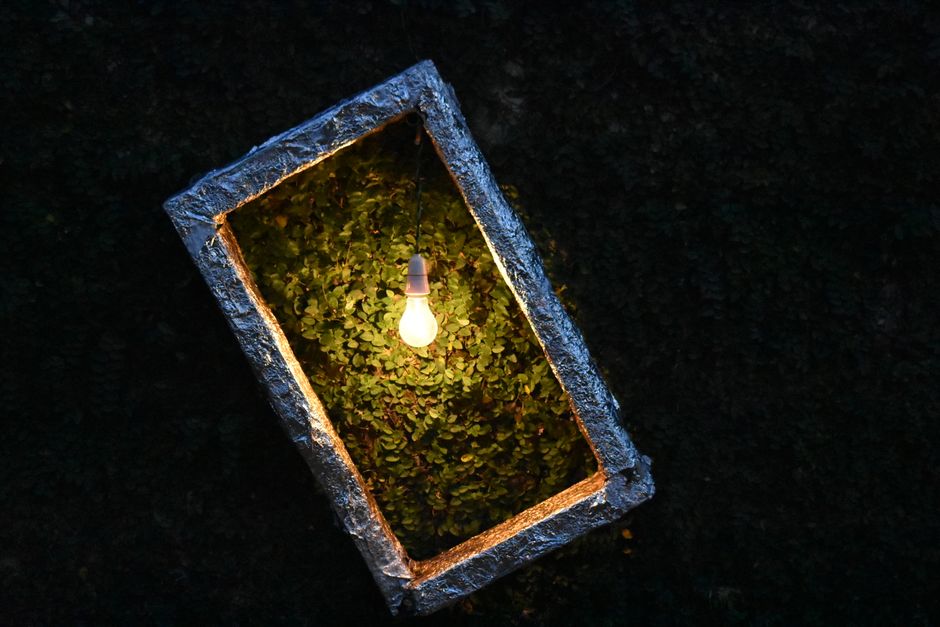 Budget-Friendly Outdoor Lighting Installation Without Cutting Corners
