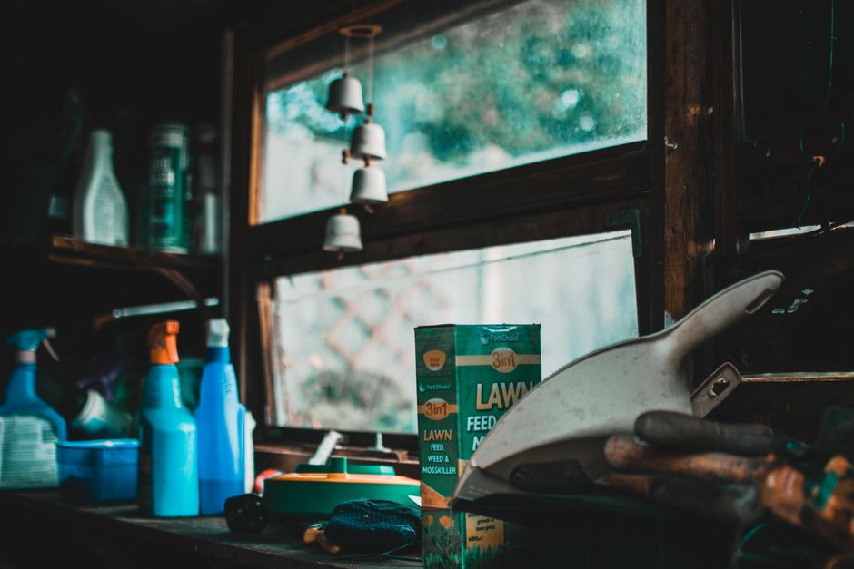 Blender and Food Processor Care for Renters: Smart Cleaning, Storage, and Maintenance Tips