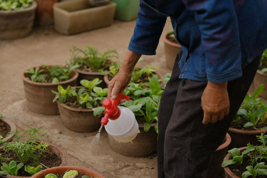 Raised Bed Gardening Without a Yard: How to Grow a Productive Container Garden on a Balcony or Patio