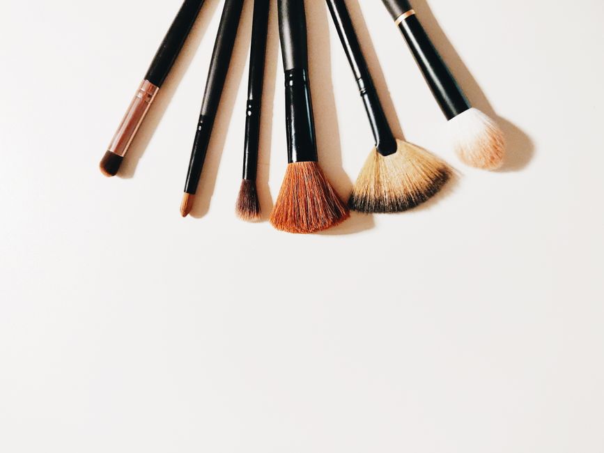 Cat Grooming Essentials: Choosing the Right Tools and Products