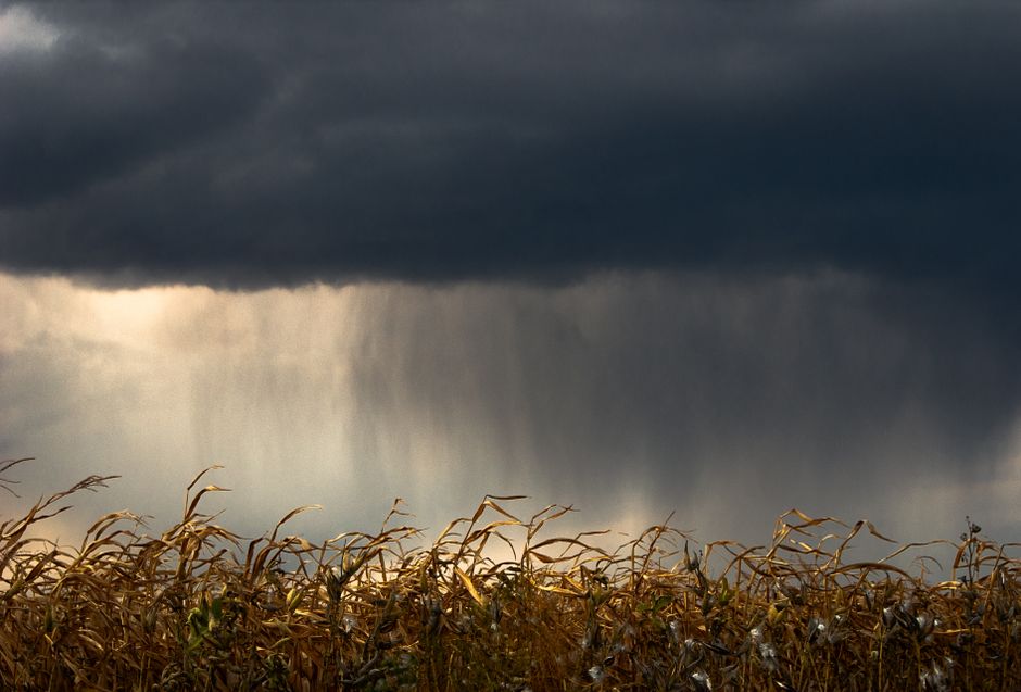 The Physics of Rainfall: How Surface Area and Slope Determine Harvest Efficiency